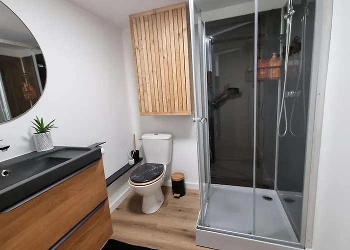 L'emeraude Amienoise Netflix/hortillons/stleu/gare Сasa de vacaciones